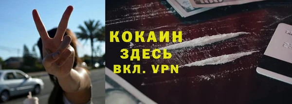 соль ск Арсеньев