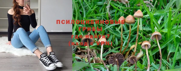 прущая мука Аркадак