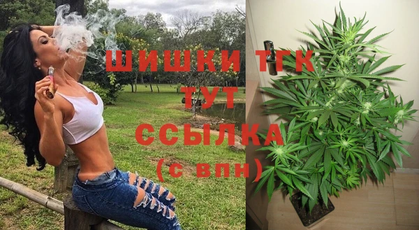 винт Армянск
