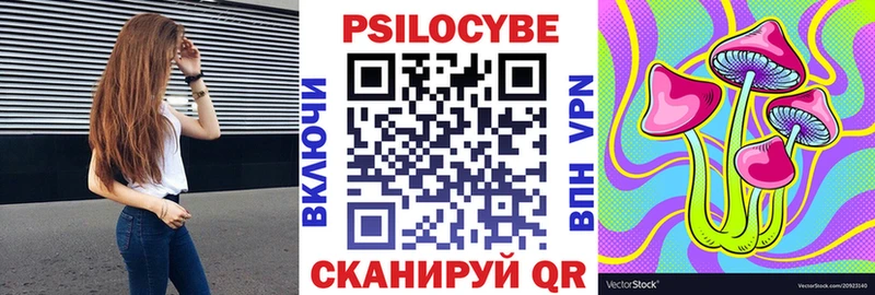 Галлюциногенные грибы Psilocybe  Яровое 